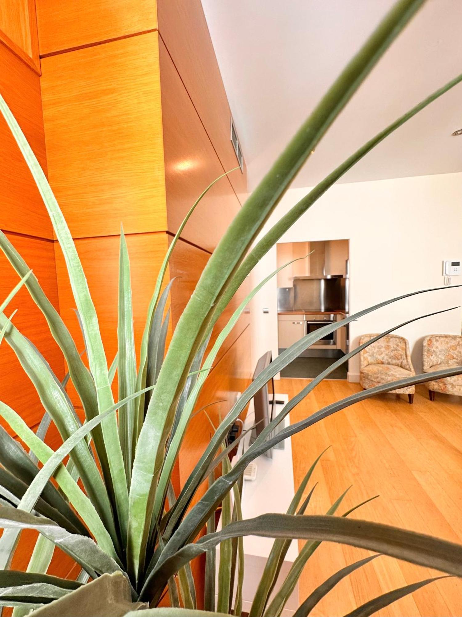 Penthouse Near Cathedral Private Rooftop Private Parking Sevilla Exteriér fotografie